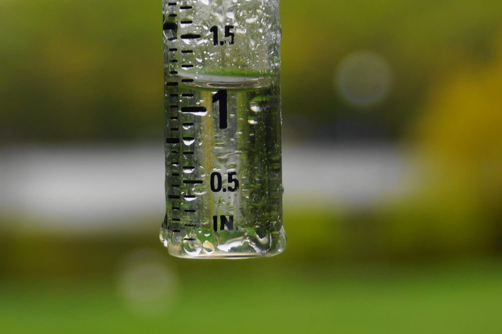 The rain that kicked off the week was only about half the amount we got last time. Still, it was enough to hold the extremely high lake level.