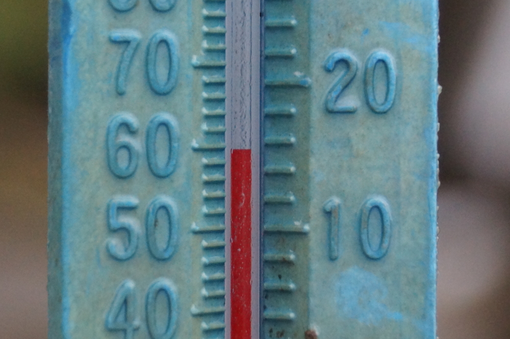 The lake temperature peaked at 60°F during the weekend. Swimmer's mental health was upgraded from completely insane to mildly disturbed.