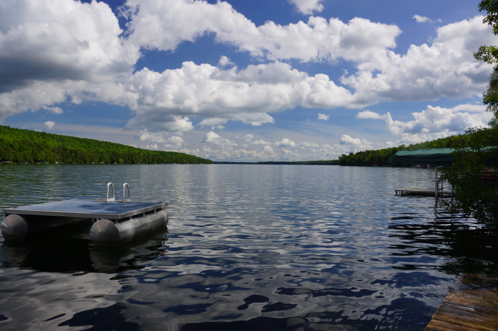 The best word to describe the first full week of Summer would be Summer. Last week was wonderfully warm, mostly sunny, and occasionally wet. The sounds of loons, frogs, boats and splashing, happy childern of all ages filled the air. The feel of the 73°F lake contrasted nicely with the +80°F air temperature.