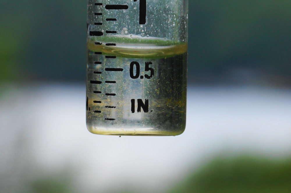 We ended the week with just over a half of an inch. The lake level seems to be a little lower, but it's still very high.