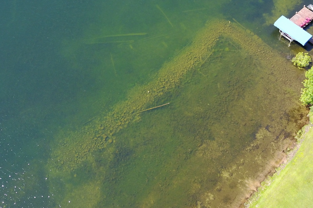The rocks on the North end of the lake did not attract any divers all week. That'll change soon, gotta get us some rock diving.