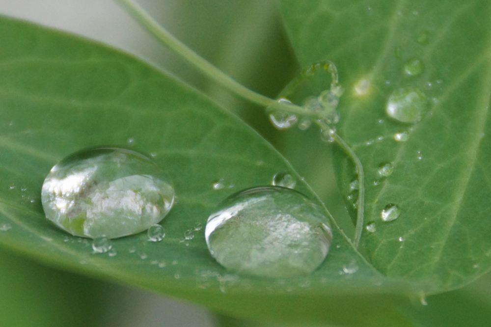 By morning, there was evidence that overnight the rain made it to the lake.