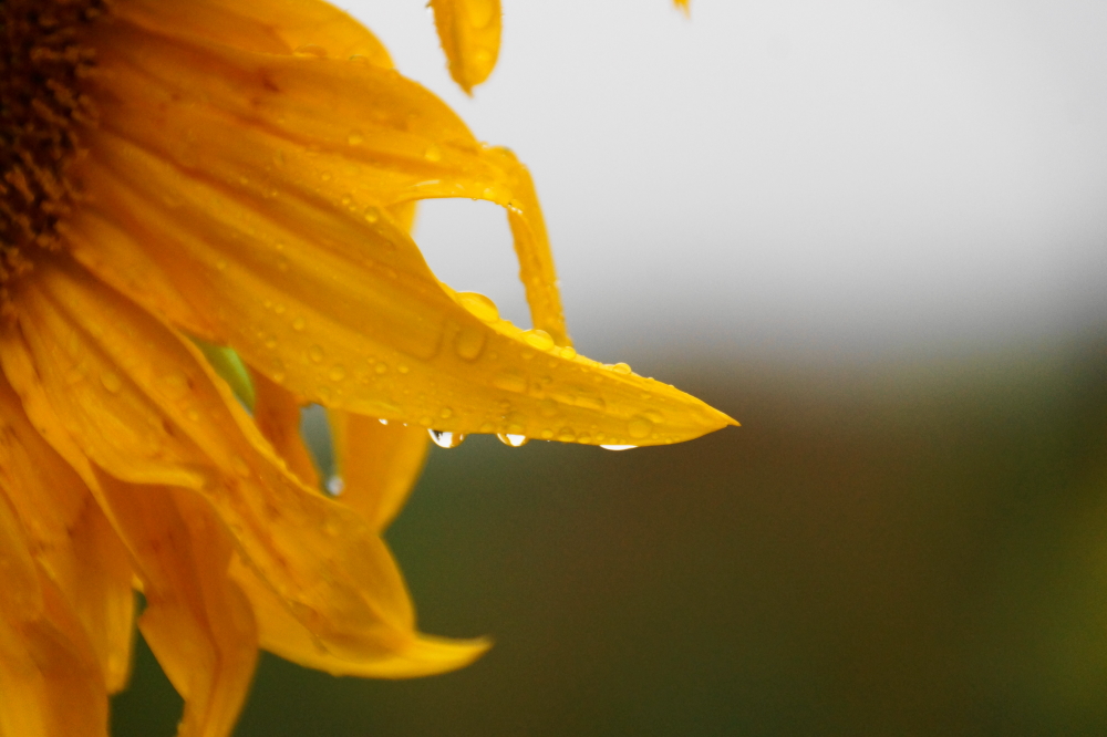 There was also rain.