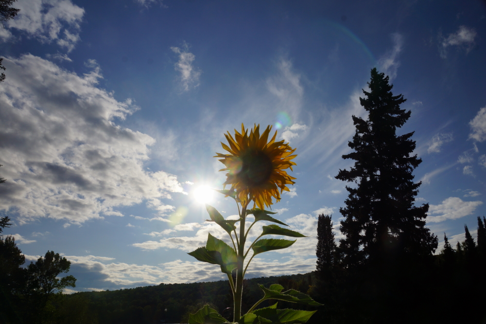 Eventually the rain stopped and the clouds parted. It almost felt warm in the sunshine.