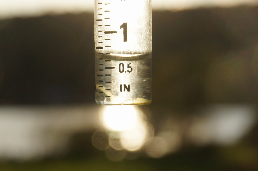 It also rained. The biggest rain event dumped just over half an inch. All the wet days combined added up to just under an inch. The high lake level is holding.