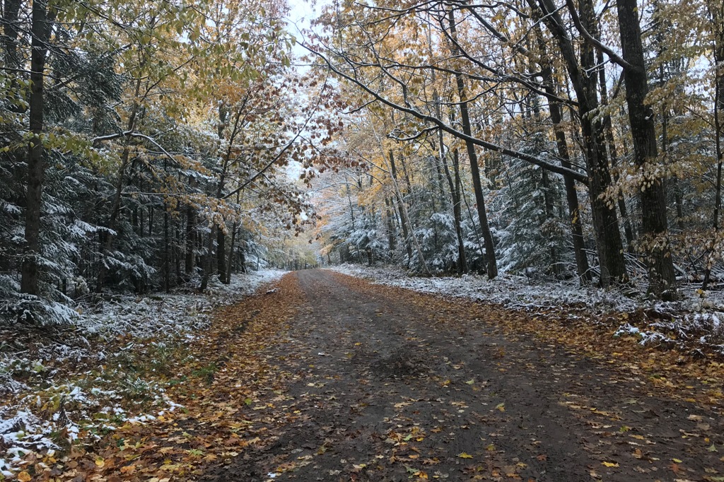 The roads are still in mostly good shape though some are a little mushy.