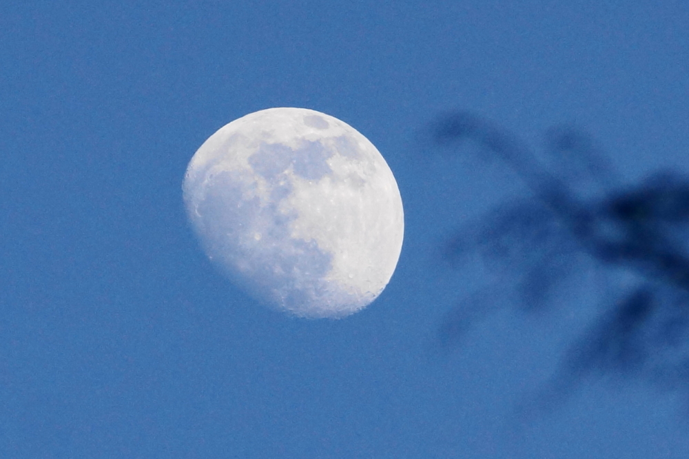 The nights of last week were also cloudless and filled with cold moonshine.