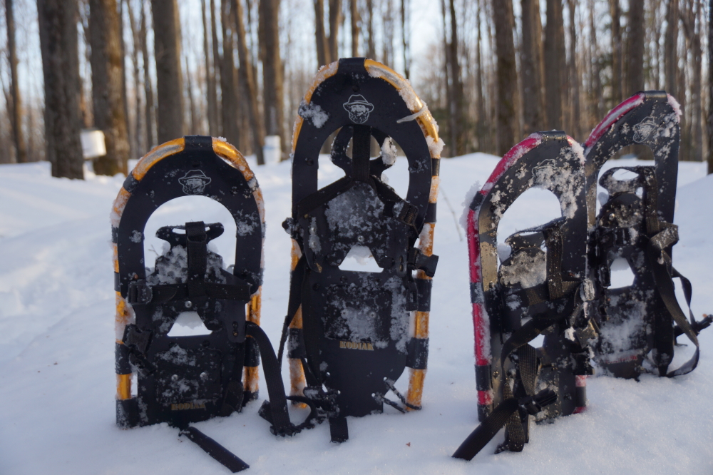 Getting from tree to tree in the deep snow requires snowshoes. You could do it with just boots, but it would take until April to get them all holed.