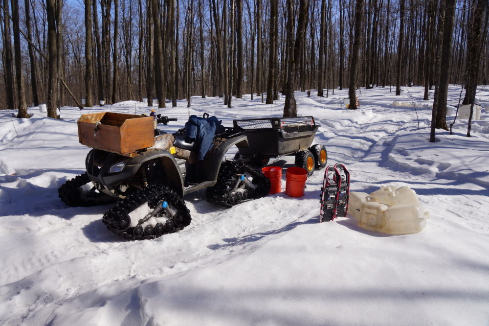 Before the punch, most of the maples had "Broken Loose". Hundreds of gallons of unusually sweet sap was gathered and hauled back from the woods. Cookers were fired from before sunrise through midnight. The smell of wood fires with a hint of maple sweetness filled the North end of the lake.