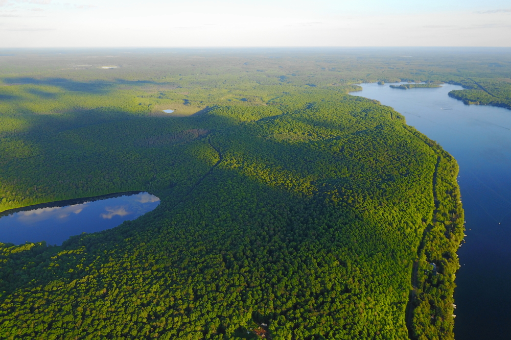 The view from above was best described as green and lake-y.