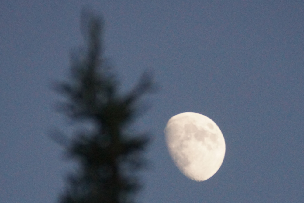 The nights were warm and a waxing moon made them almost bright enough to finish a tan or ski run.