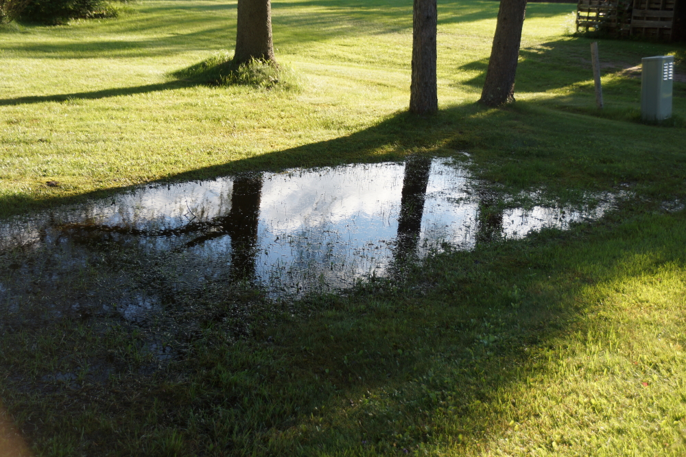 Lawn puddles are back and just a few carp away from becoming koi ponds.