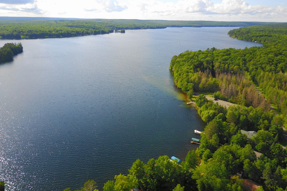 Thirty eight inches above the nail is a new inter-month record for Lake Lucerne's water level. In a normal year, we see the lake dropping an inch or two every month after June. This year, we've gained half a foot since July 1st. The rising water makes for a larger surface to ski upon, but makes diving for pants a half a foot more difficult. The forecast is for a dry week, but it'll take more than a week of dry weather to get the lake level back down to normal. When slalom skiing, get those cut sprays high to increase the evaporation rate. Every little bit counts.<br><br>-Nemo requires soup with his spoon art.