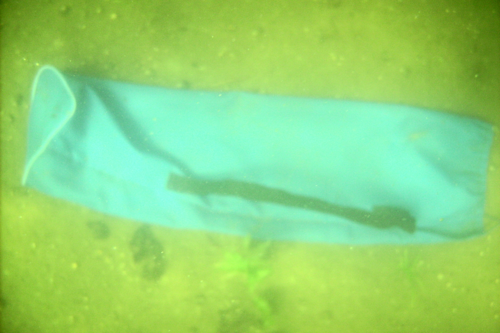 During the search, a blue bag for a folding chair was recovered.