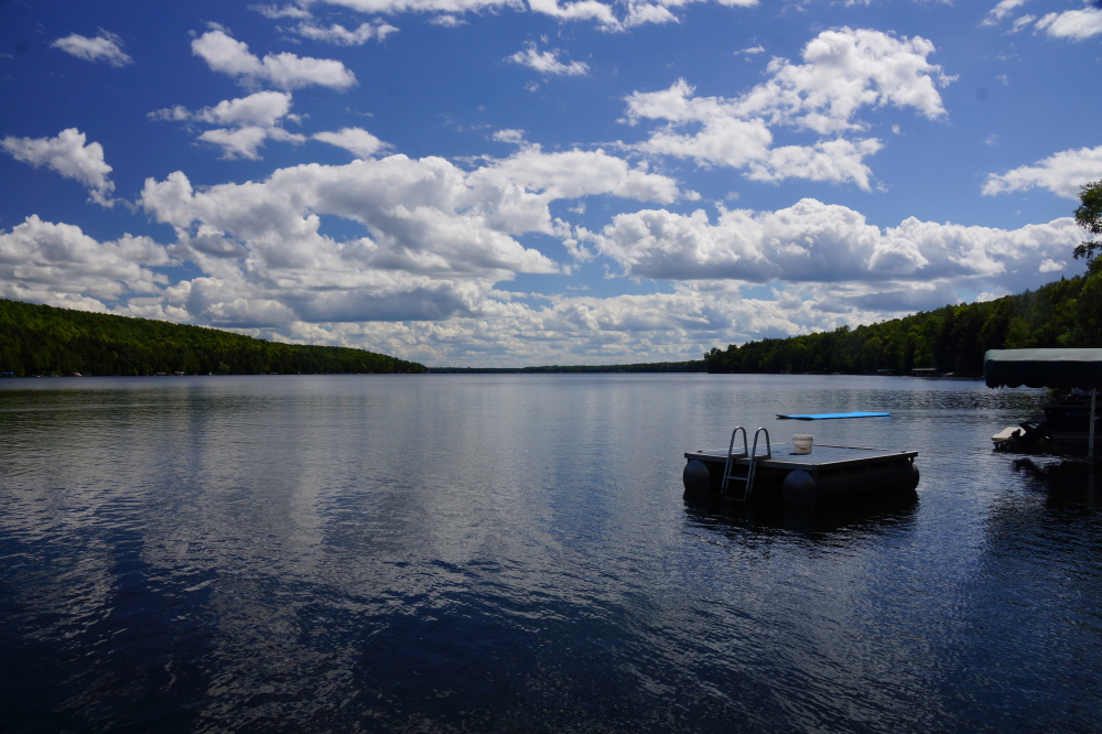 The weather last week seemed more like mid-July than the last half of August. The lake temperature was more like June (73°F). If the air temperature holds, the water should get a little warmer and the swimmers a little less blue-ish.