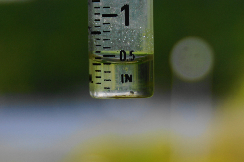 Up to 2 inches was predicted, but the lake got just less than a half of an inch.
