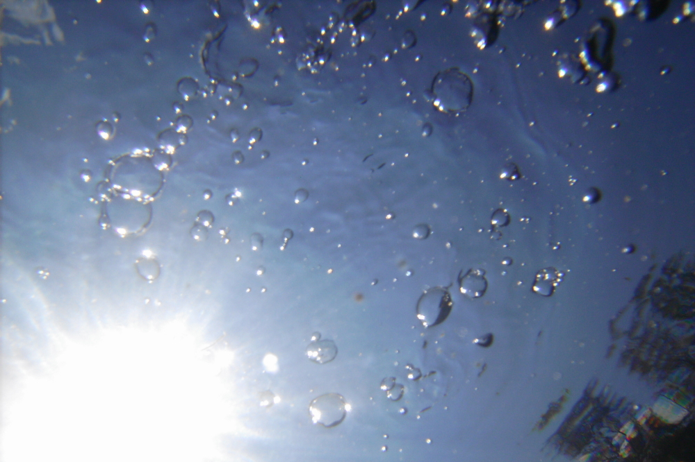 There is the occasional algae bloom as is normal for this time of year, but the lake remains mostly clear as crystal.