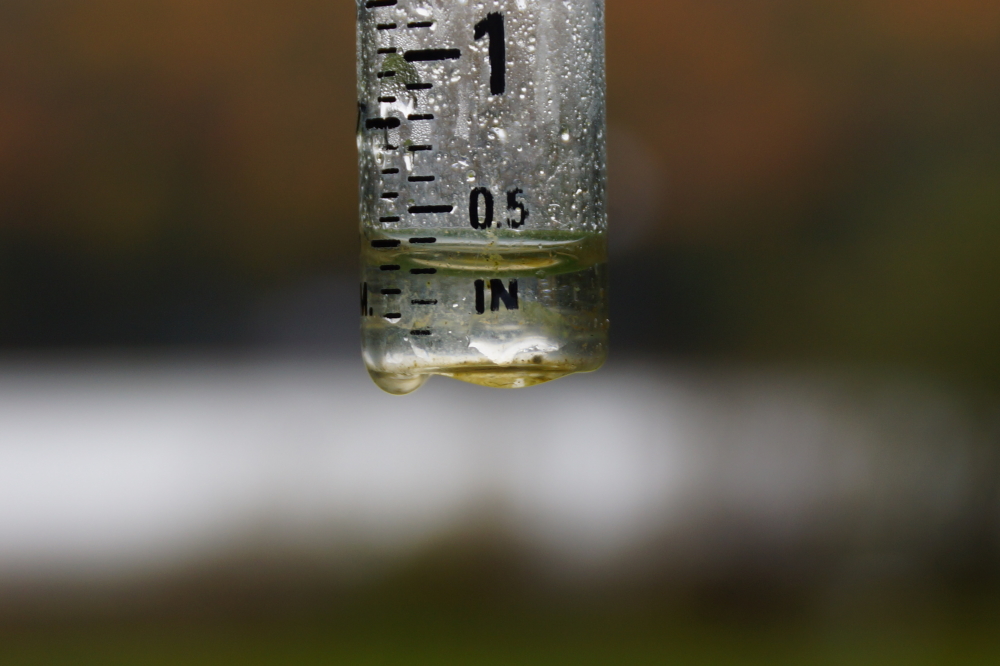 In the end, we got about a quarter of an inch.  Even with that and the inflows, the lake <a href='/LakeLevel/LL2.html' class ='defaultlink2' target='_blank'>dropped an inch during the month of September.</a>