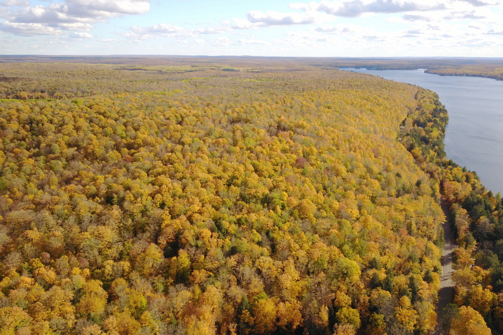 The reds and oranges on the hill to the East of Lucerne are fading fast, but the yellows are still strong.
