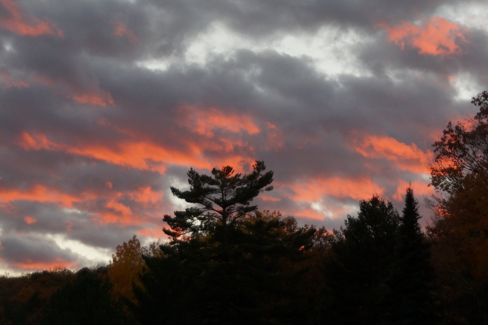 Last week's sunsets seemed to mimic the trees. Early in the week featured reds that gave the illusion that the forest was on fire.