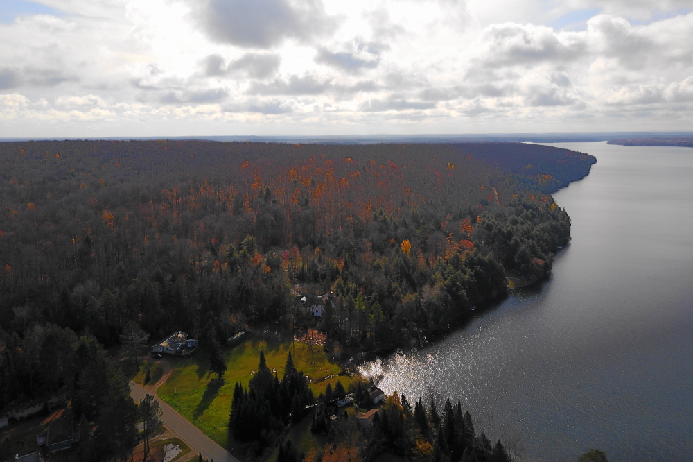 The cold, wind, and snow has stripped the color from all but a few of the trees around the lake.