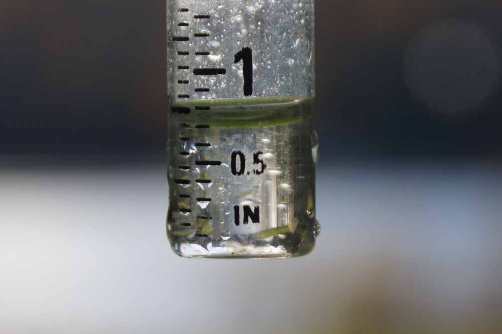 There was about three quarters of an inch early in the week.  If added to the precipitation that floated down on the weekend, that comes to about an inch for the last 7 days.