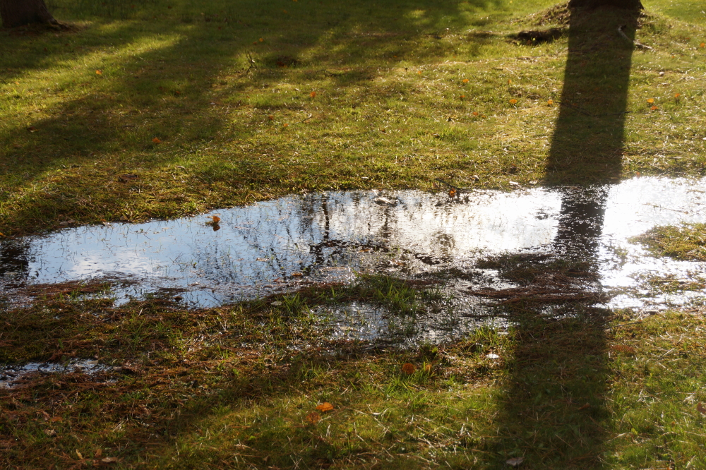 The ground was saturated before the rain.  So yes, the yard puddles are back and mowing kicks up more spray than a slalom skier cutting hard on a flat lake 