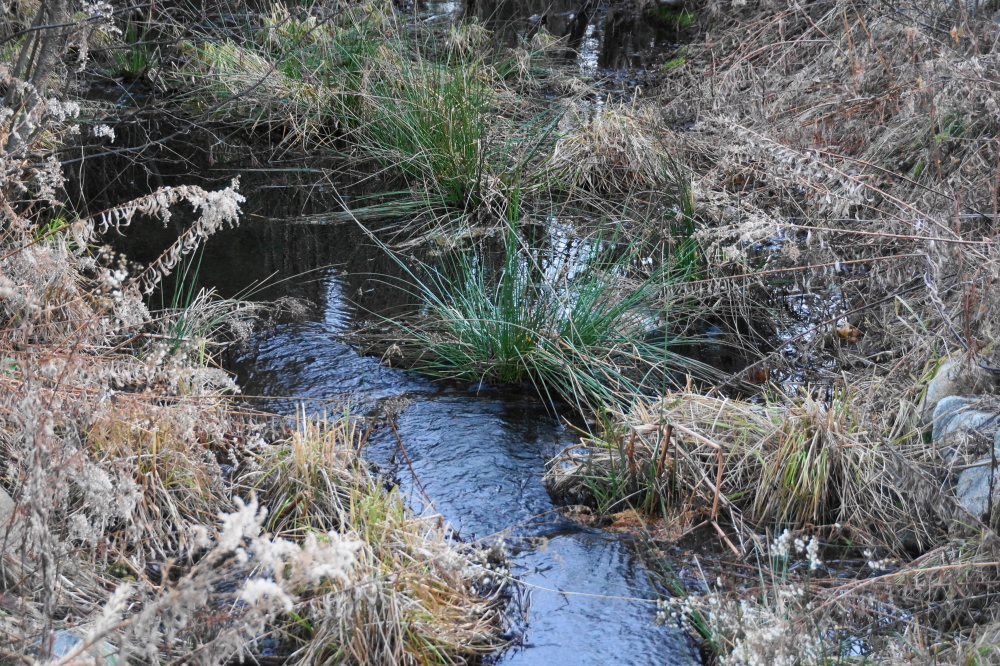 Streams and creeks are back to Spring melt magnitude.