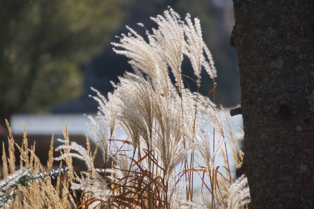 It was cloudy at the start and the end of the week, but the middle was filled with bright sunlight.