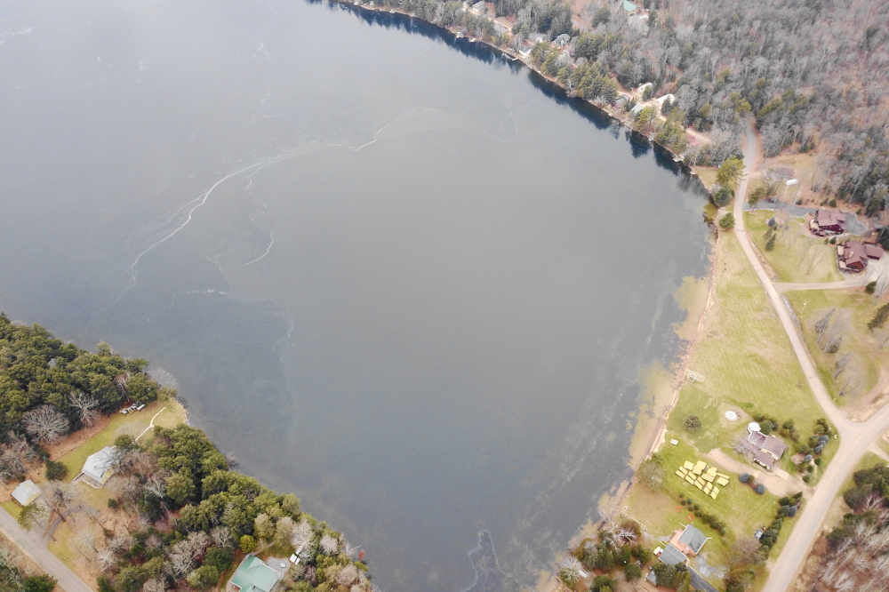 The most amazing and unprecedented thing was the state of the lake. It went from 95% open to 90% ice covered overnight. It was not quite ice-in, but it dashed the dream of a Christmas day ski run. Closer inspection of the new ice sheet revealed it to be very thin and fragile.  It's unlikely it could support the weight of a pheasant.