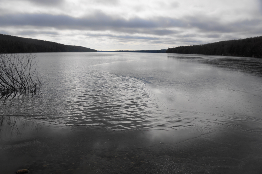 The lake is at a delicate time. One more cold, still night is all that separates the lake from open to ice-in. Conversely, one warm or windy day could completely clear the lake of ice in under an hour. Our guess is  that we'll be sending letters full of congratulations and cash to the winners of <a href='/icein/IceIn2020.html' class ='defaultlink2' target='_blank'>this year's ice-in contest</a> before the next summary page is posted.<br><br>-Nemo prefers his pheasant just to the right of the mashed potatoes.