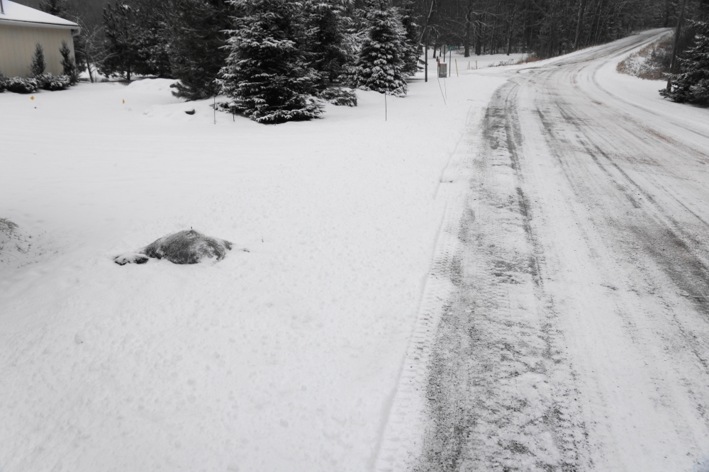 On occasion, the buzz of ABS brakes ended with the muffled thump of a bambi bonking.