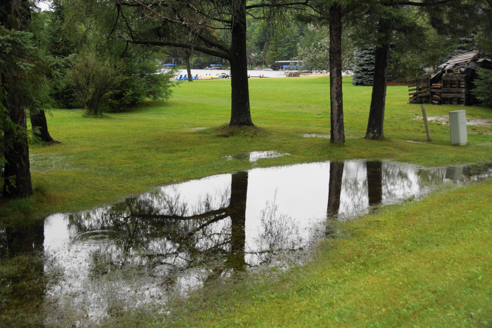 Nobody mowed.