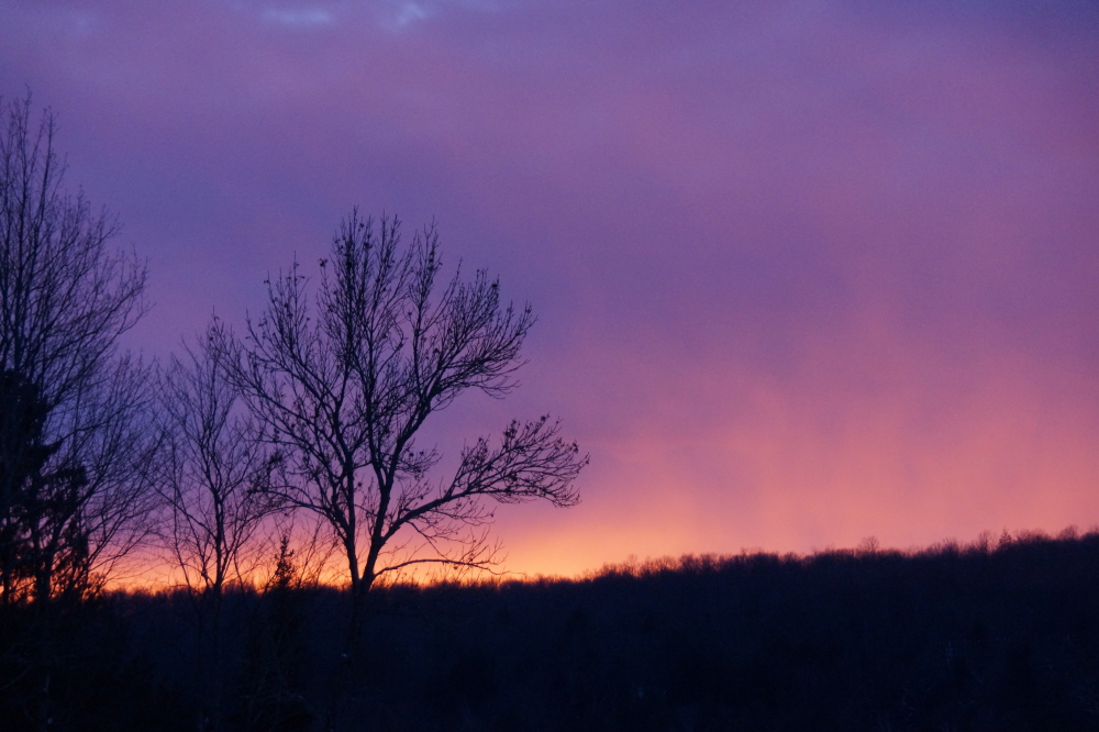 During the middle of the week, the weather went from AUGGG!! to Auggg!. The sky clouded, the sunsets improved, and the temperatures rose to a now disturbingly comfortable feeling 20ish°F. The experienced Deep Winter survivor knows what to expect next...