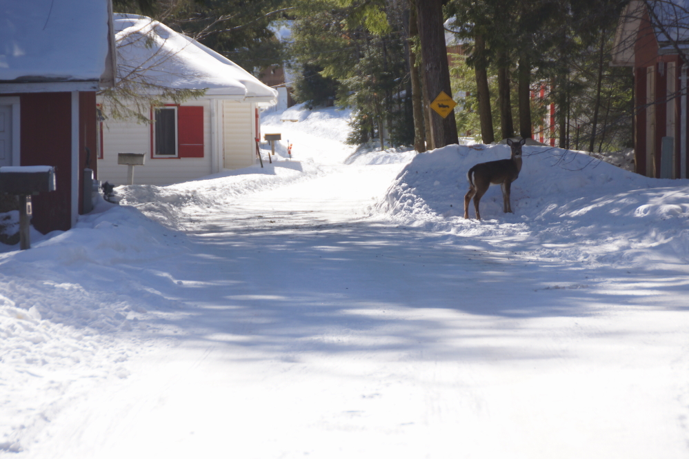 The condition of Knott Lane can best be described as mostly passable. Mostly.