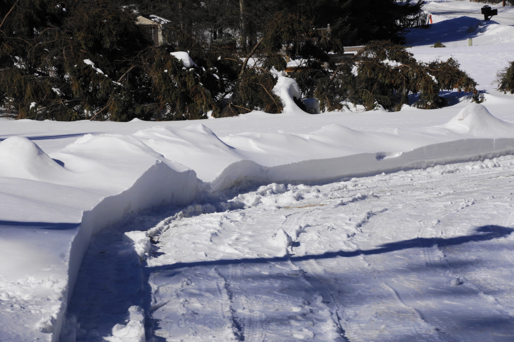 On the weekend, after the winds, snow,  and Deep Winter died, we cleared the white piles from the drive and found that some of the bigger ones were taller than the blower's auger housing. 