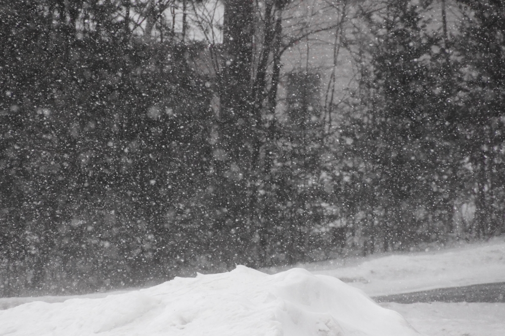 Later in the week, there was a little snow, too.
