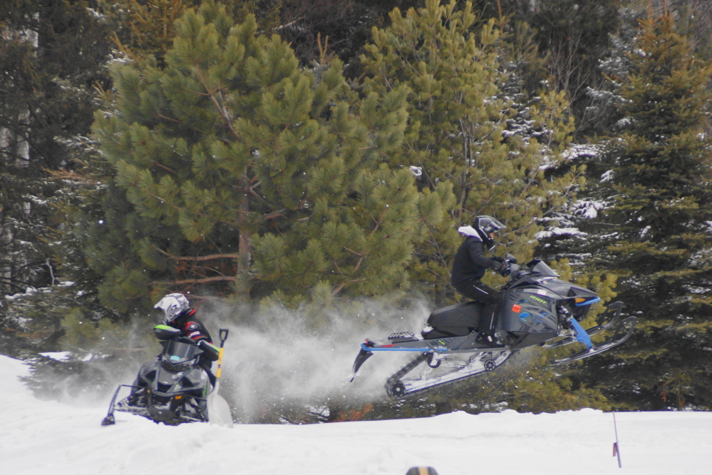 Many local woodland creatures frolicked and flew over the huge snow piles.