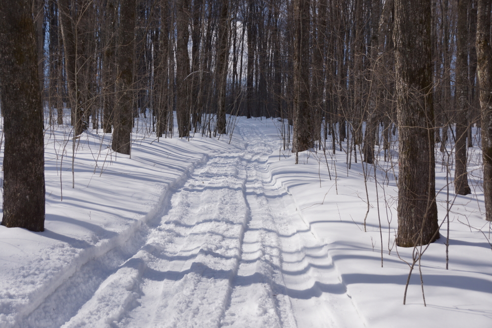 The sugarmen have spoken. It was time to trudge the hills west of the lake and put holes in maples.