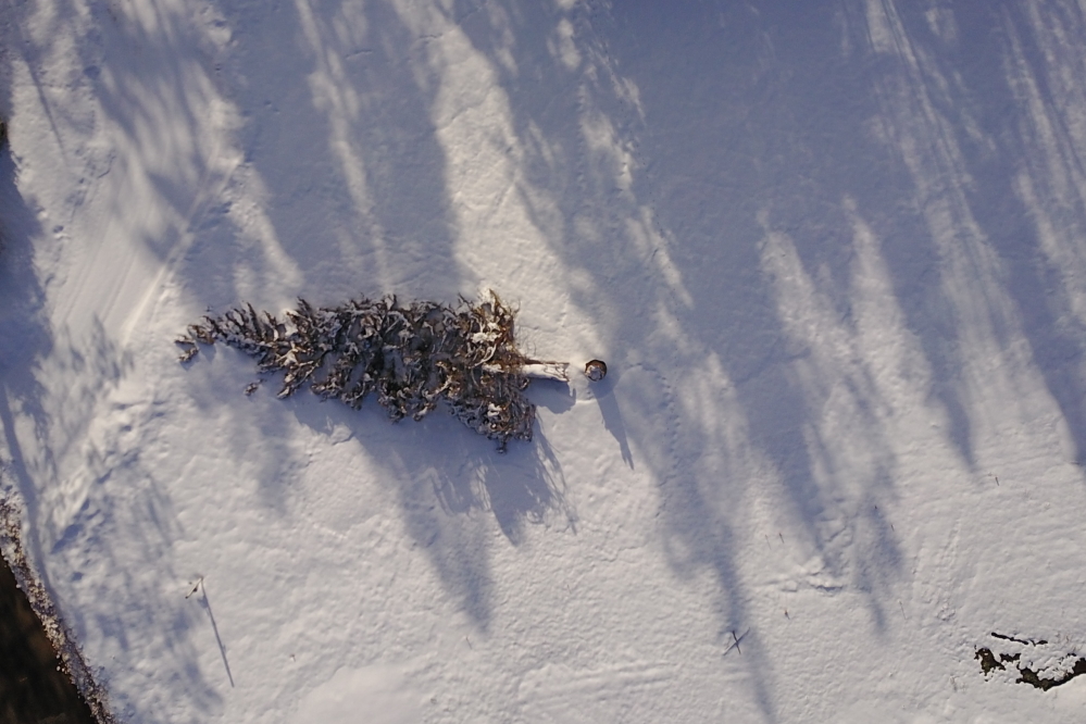 The sunlight that makes it through the trees is feeling warmer and melting snow. It was further noted that some tree shadows are considerably shorter and wider this Spring than last. 
