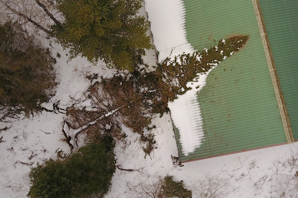 And the good news is that there appears to be no damage.