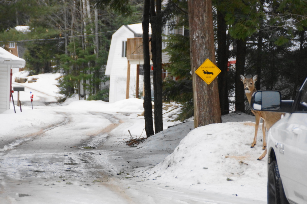 By the end of the week, Knott Lane had a few spots that were pretty good, but mostly not.