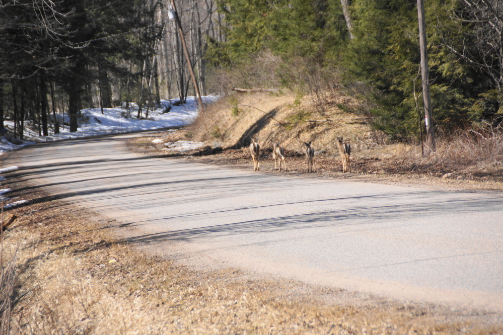 The warmer days have made the roads much better.