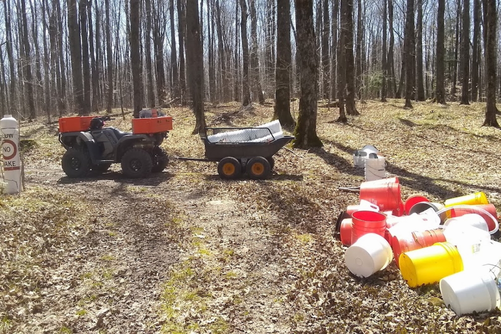 The end of the ice coincided with the end of the tapping season. As the last of the ice became a memory, buckets, spiles, and other sapping detritus were pulled from the woods around Lucerne.