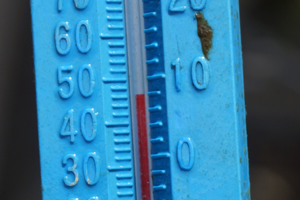 Then again, it could be the lake temperature.