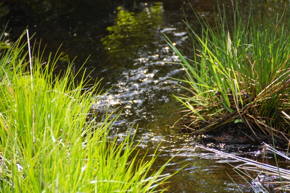 Creeks and streams flowing into the lake are bringing Lucerne closer and closer to a record level.