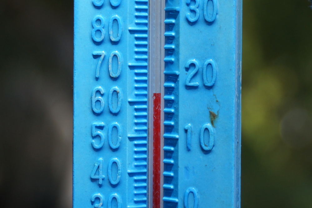 By the end of the week, despite the cooler air temperatures,  the lake temperature rose to 62°F. Let the swimming begin!