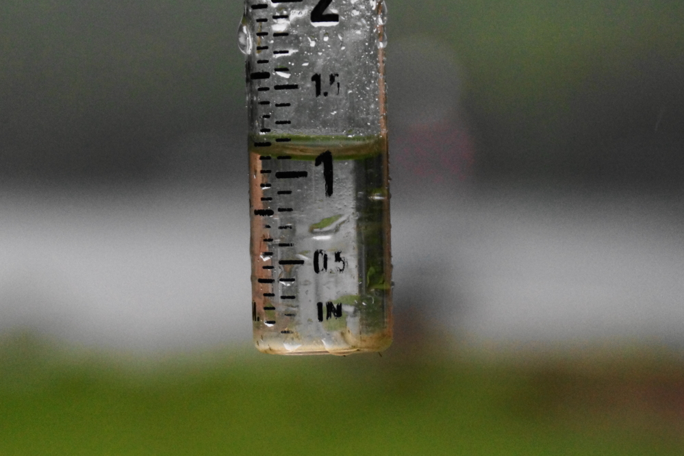 We ended up with just over an inch of rain on the North end. The South end reported over 2 inches. The lake level was starting to go down before the rain. After the rain, not so much.