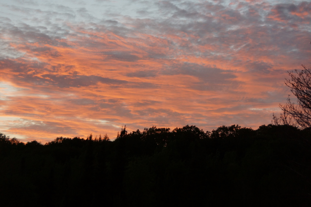 On many evenings, they were not disappointed.