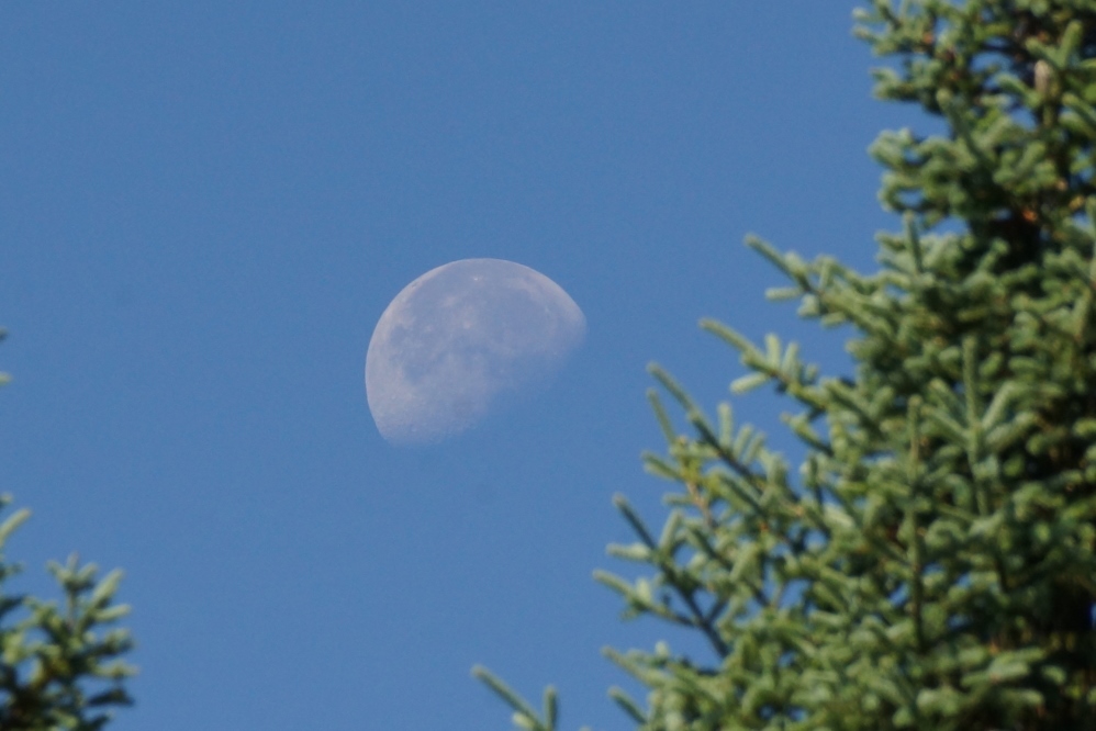 The waning moon is making for some dark nights. If you find yourself outdoors on a clear night next week, the latest starlink constellation is crossing the sky at around 10 PM. It looks like a long patch of lights and crosses from South to North in about 4 minutes.